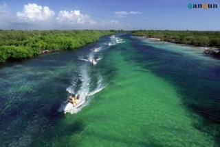  Mayan jungle 